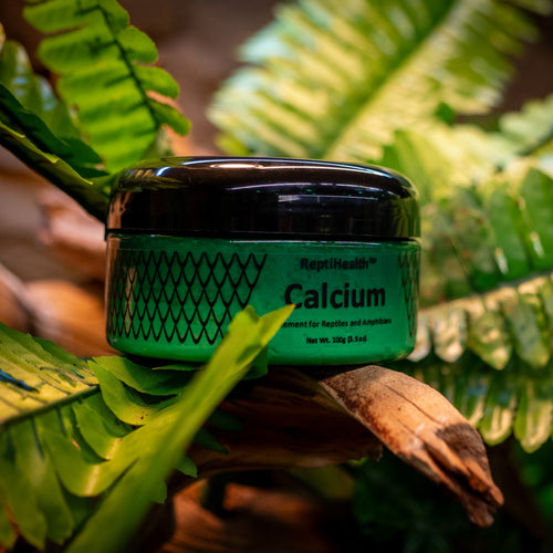 Jar of ReptiHealth™ Calcium on a piece of wood with green leaves in the background