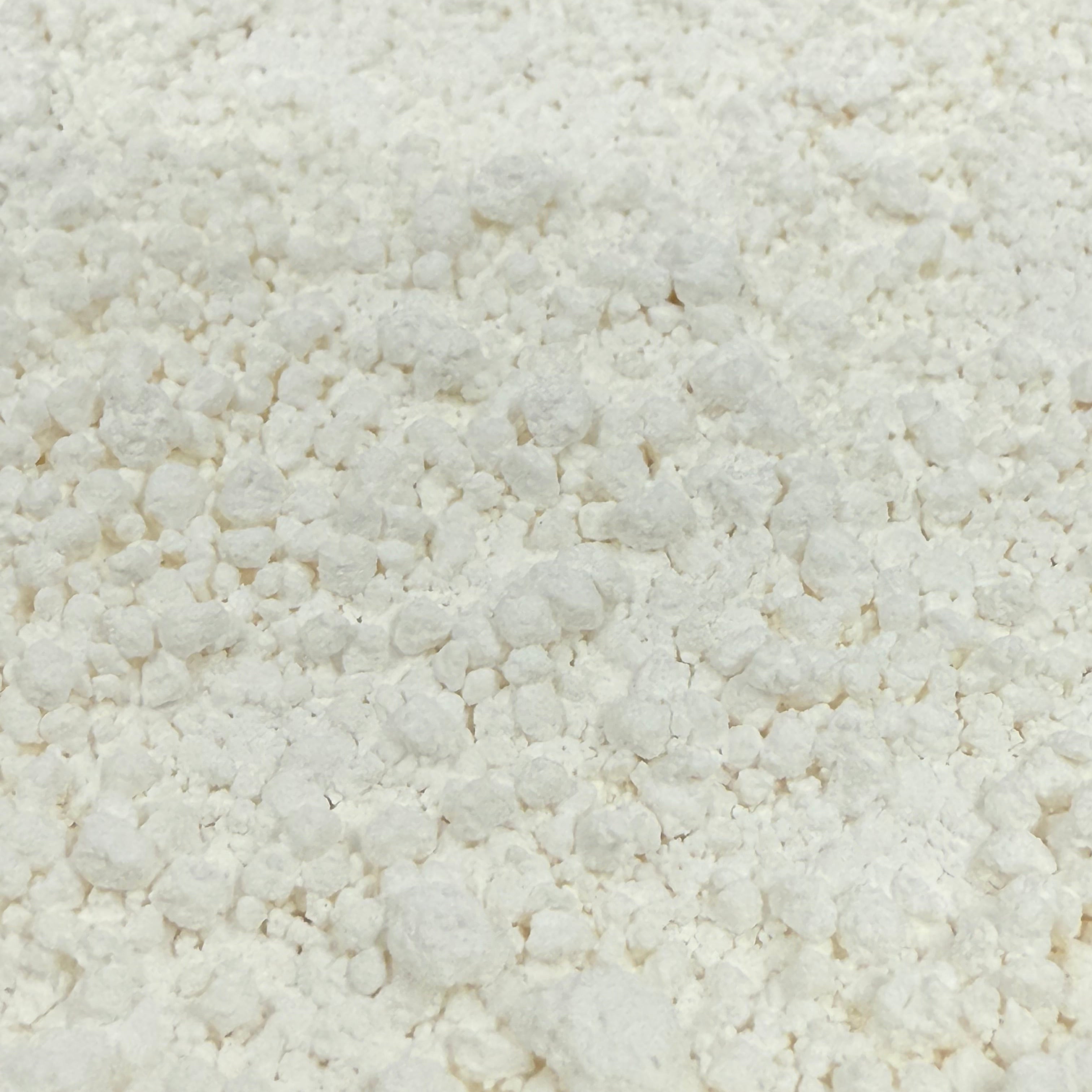 An up close photo of fluffy lumps of ultra-fine precipitated calcium carbonate powder in ReptiHealth™ Calcium