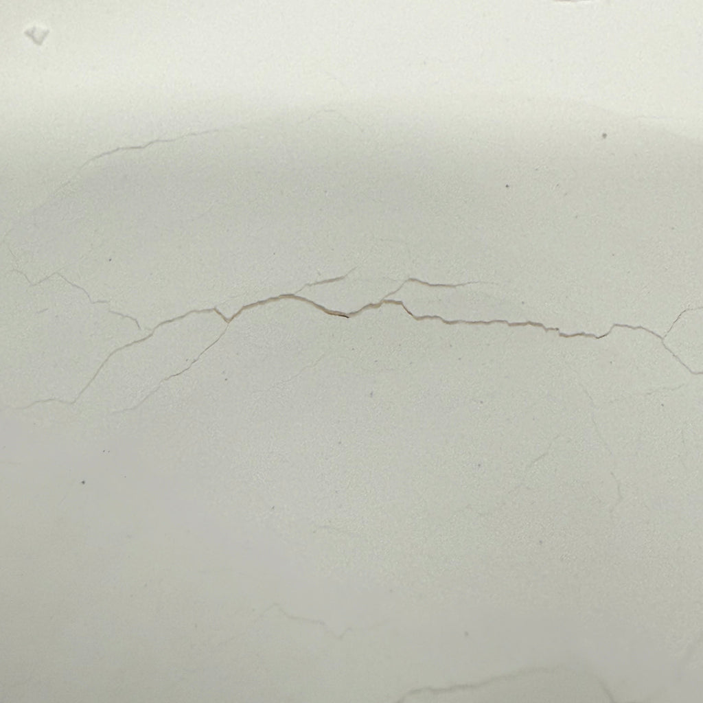 An unclose photo of packed and compressed ultra-fine precipitated calcium carbonate in ReptiHealth™ Calcium 